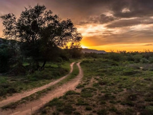  Vacation Hub International | Bhejane Game Reserve Lobby