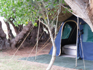  Vacation Hub International | Karoo Gariep Tented Camp Lobby