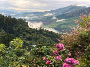  Vacation Hub International | Magoebaskloof mountain estate Lobby