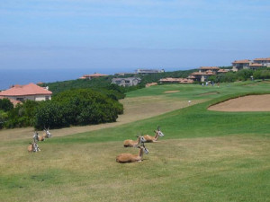  Vacation Hub International | Mossel Bay Golf Estate Lobby