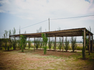  Vacation Hub International | Grincourt Nature Reserve Lobby