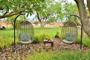  Vacation Hub International | The Bush House - Madikwe Game Reserve Lobby