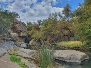  Vacation Hub International | Vrede Fountain House Farm Stay Lobby