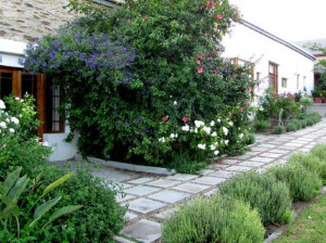  Vacation Hub International | Obo Fynbos Country House Lobby
