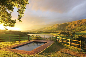  Vacation Hub International | Fleckvieh Guestfarm @ Grootvadersbosch Landgoed Lobby