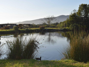  Vacation Hub International | Tenikwa Wildlife Centre Lobby