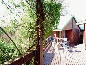  Vacation Hub International | Cinnamon & Sage Country Cabins Lobby