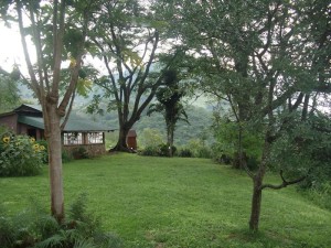  Vacation Hub International | Bushwhacked Barberton Lobby
