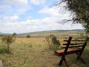  Vacation Hub International | Griffons Bush Camp Lobby