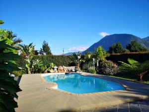  Vacation Hub International | Tsitsikamma Gardens Cottages Self-catering Cottages Lobby