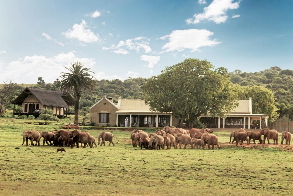 Vacation Hub International - VHI - Gorah Elephant Camp