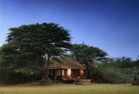Vacation Hub International - VHI - Phinda Vlei Lodge