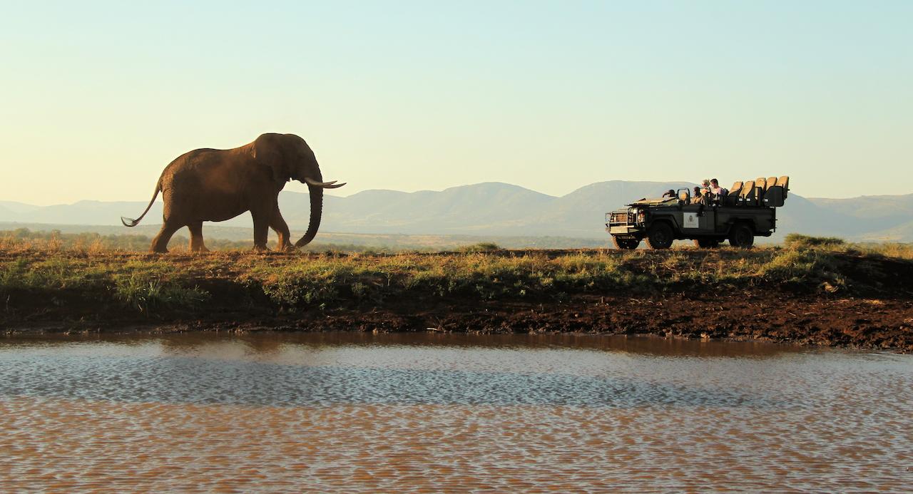 Vacation Hub International - VHI - Thanda Private Game Reserve - Tented Lodge