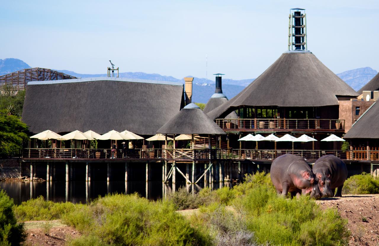 Vacation Hub International - VHI - Buffelsdrift Game Lodge