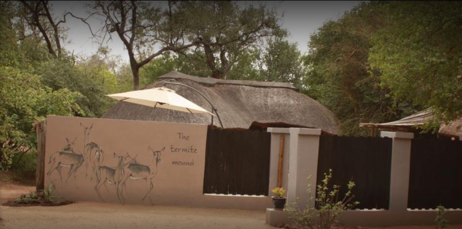 Vacation Hub International - VHI - Offbeat Safaris