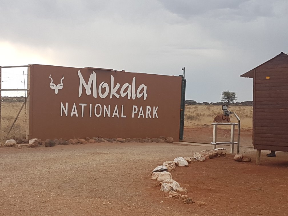 Vacation Hub International - VHI - Mokala National Park