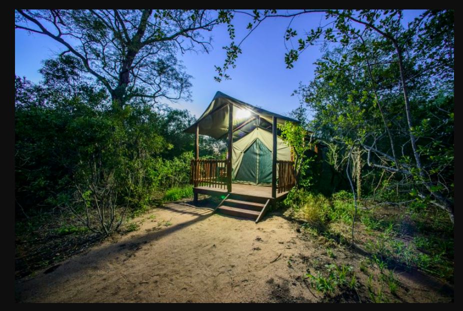 Vacation Hub International - VHI - Shalati Safari Camp