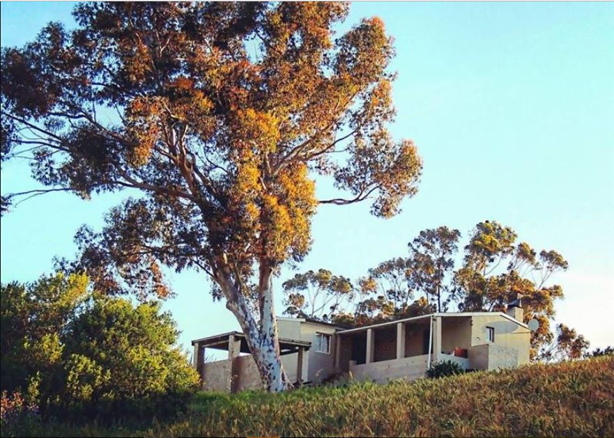 Vacation Hub International - VHI - Drayton Guest Farm