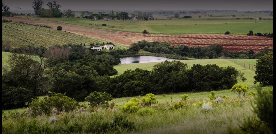 Vacation Hub International - VHI - Hakuna Matata Game Farm