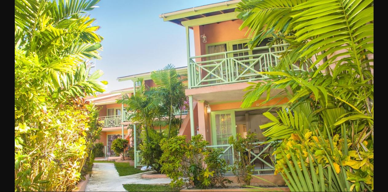 Vacation Hub International - VHI - Halcyon Palm