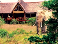  Vacation Hub International | Bush Lodge Main