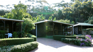  Vacation Hub International | Manor Fest Mountain Cabins Main