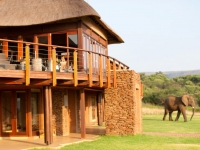  Vacation Hub International | Askari Game Lodge & Spa Main