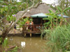  Vacation Hub International | Pongola Tropical Main