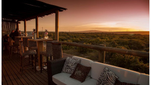  Vacation Hub International | Thali Thali Game Lodge Main