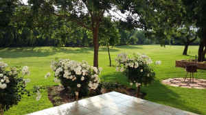  Vacation Hub International | Ibis Nest Guest Lodge Main