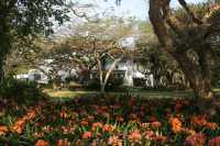  Vacation Hub International | Alkmaar Farmstay Main