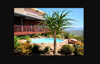  Vacation Hub International | Wolwedans Game Farm Main