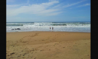  Vacation Hub International | True Horizon Main