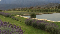  Vacation Hub International | Rockhaven Guest Farm Main