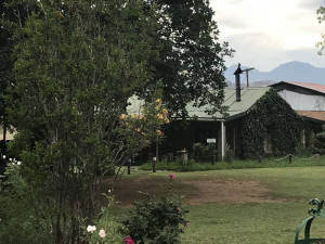  Vacation Hub International | De Molen Farm -  Fisherman’s Cottage Main