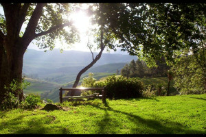  Vacation Hub International | Drakenzicht Mountain Cottage Main