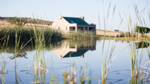  Vacation Hub International | Kwetu Guest Farm - Steenbok Cottage Main