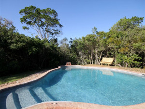  Vacation Hub International | Moon Shine on Whiskey - Tree Frog Forest Cabin Main