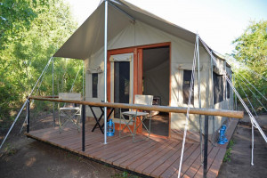  Vacation Hub International | The Wild Olive Tree Camp Main
