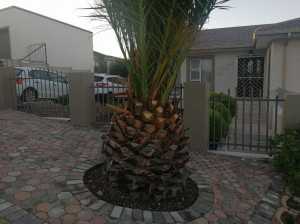  Vacation Hub International | Evelyvans Apartments - 24B Kruger Apartment Main