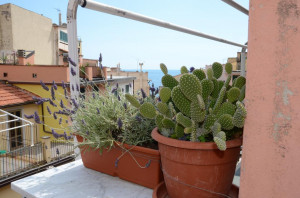  Vacation Hub International | Viadeibanchi Main