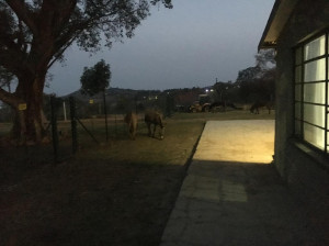  Vacation Hub International | Hooggelegen Guest Farm Main