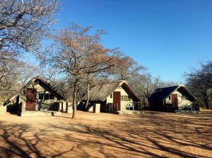  Vacation Hub International | Wild Dogs Safari Lodge Main