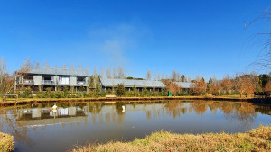  Vacation Hub International | The Meadows At Millstream Main