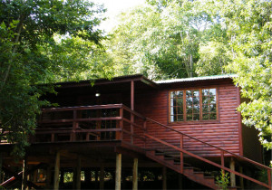  Vacation Hub International | Mankele Accommodation - Log Cabins Main