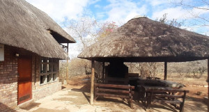  Vacation Hub International | Bush & Beach Jackal Main