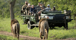  Vacation Hub International | &beyond Ngala Safari Lodge Main