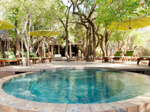  Vacation Hub International | Tambuti lodge Main