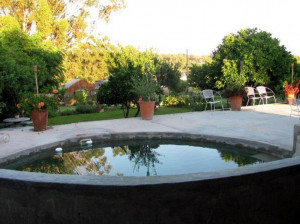  Vacation Hub International | Obo Fynbos Country House Main