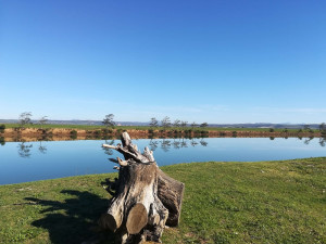  Vacation Hub International | The Ferry Hotel Gamtoos Caravan park Main